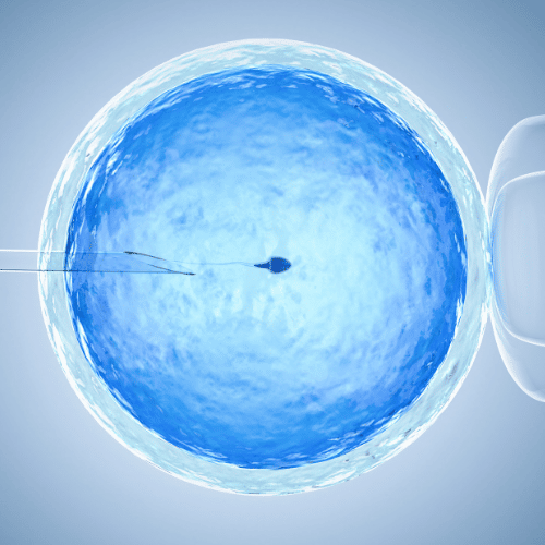 Blue embryo