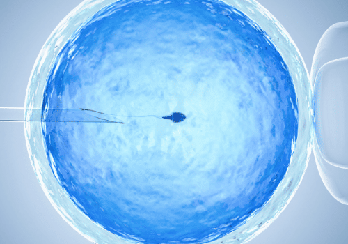 Blue embryo