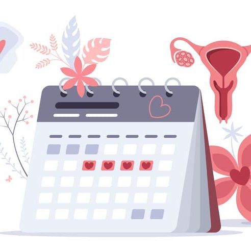 Women Health Medical Concept. Menstruation Calendar. Menstrual Control. Menstruation theme. Feminine hygiene. The menstrual period. Menstrual period on the calendar.