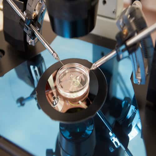 What Is IVF Feature 500x500 IVF