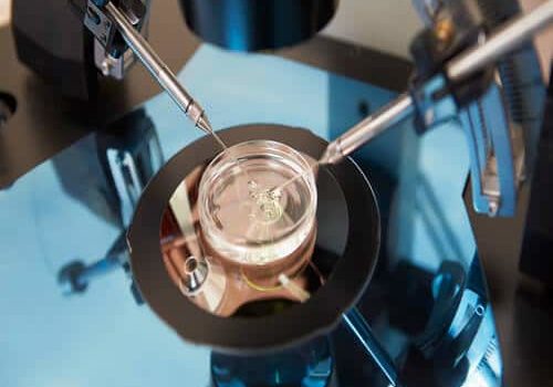 IVF